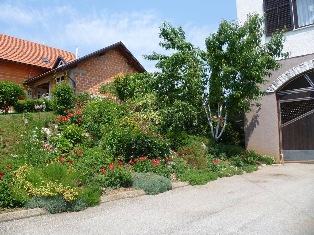 Apartments Tratincica Seliste Dreznicko Exterior photo