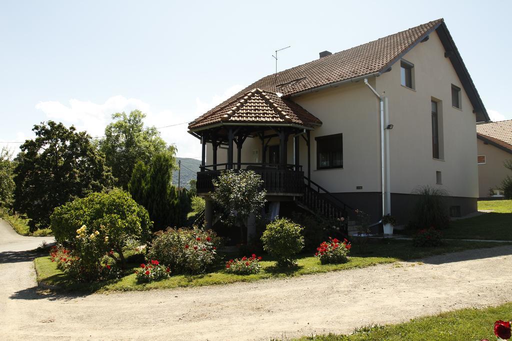 Apartments Tratincica Seliste Dreznicko Exterior photo